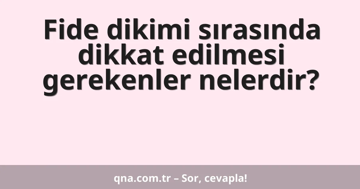 Fide dikimi sırasında dikkat edilmesi gerekenler nelerdir?