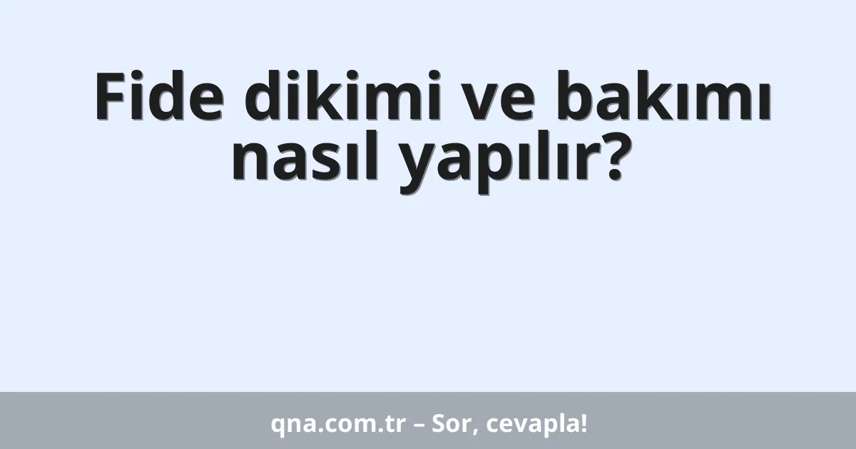 Fide dikimi ve bakımı nasıl yapılır?