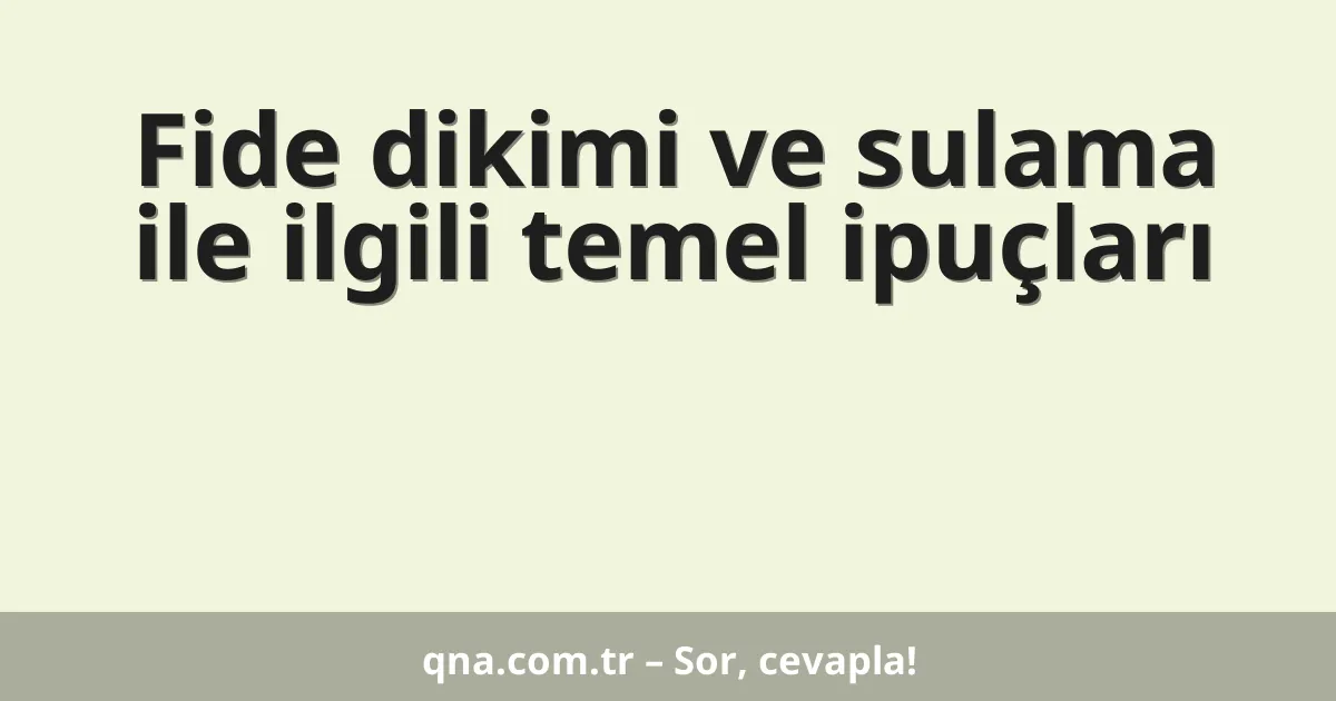 Fide dikimi ve sulama ile ilgili temel ipuçları