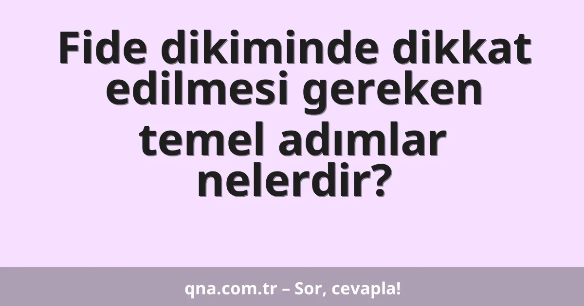 Fide dikiminde dikkat edilmesi gereken temel adımlar nelerdir?
