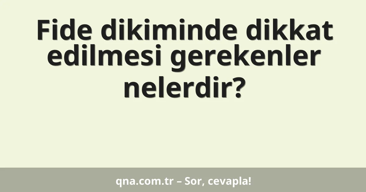 Fide dikiminde dikkat edilmesi gerekenler nelerdir?