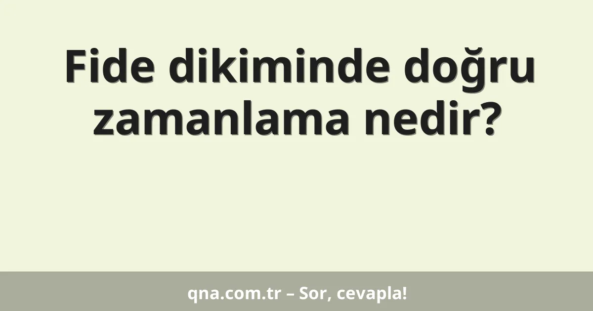 Fide dikiminde doğru zamanlama nedir?