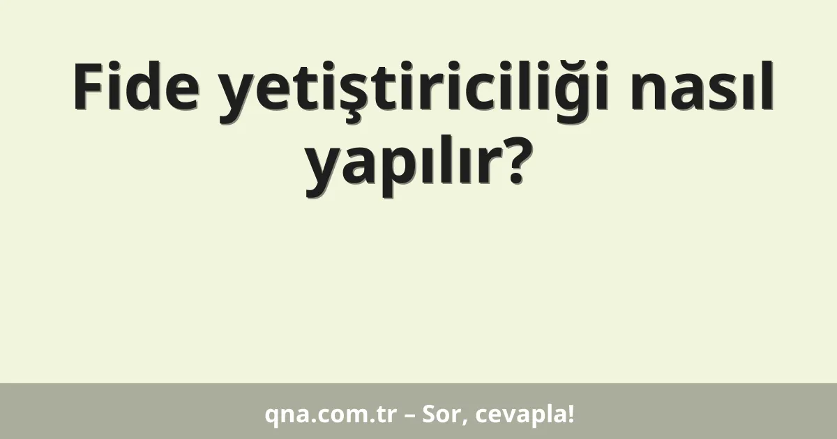 Fide yetiştiriciliği nasıl yapılır?
