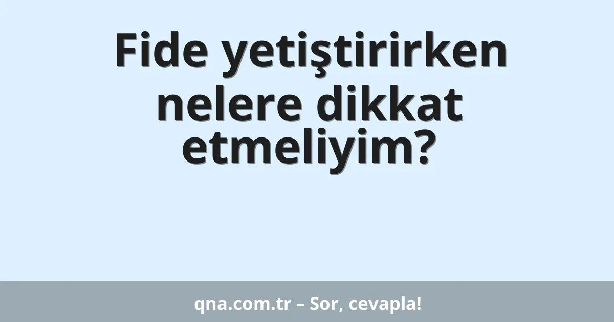 Fide yetiştirirken nelere dikkat etmeliyim?