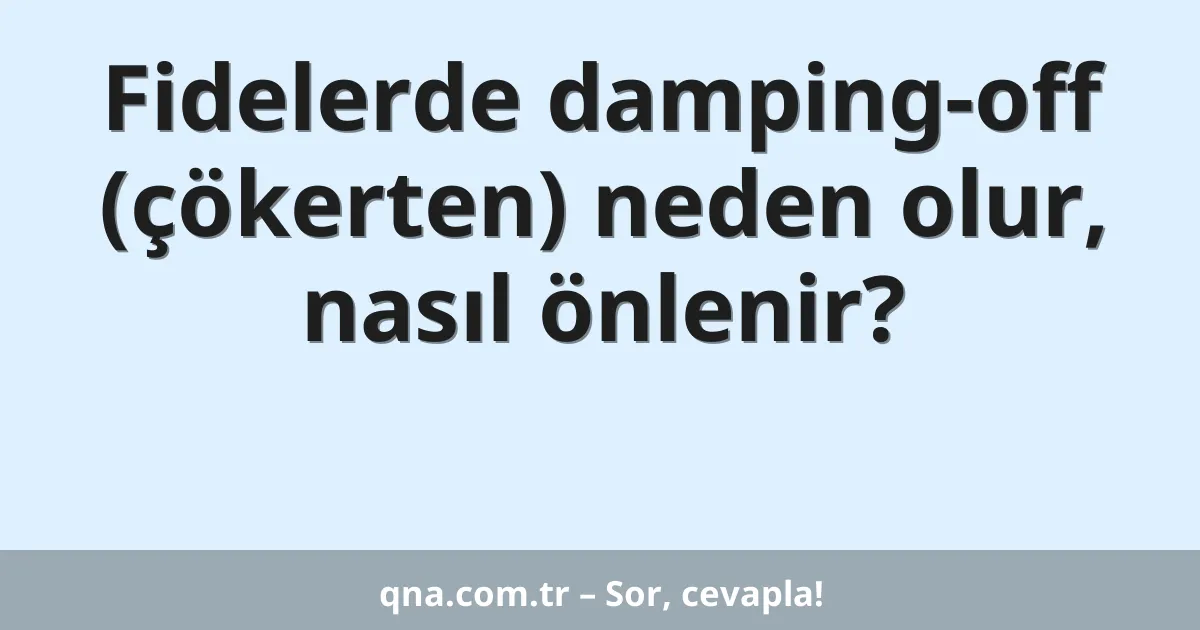 Fidelerde damping-off (çökerten) neden olur, nasıl önlenir?