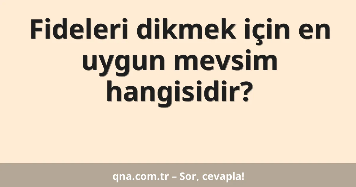 Fideleri dikmek için en uygun mevsim hangisidir?