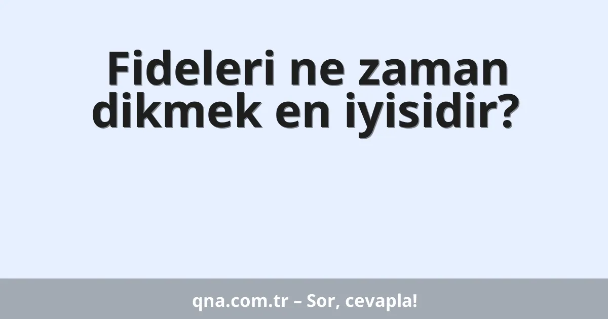 Fideleri ne zaman dikmek en iyisidir?