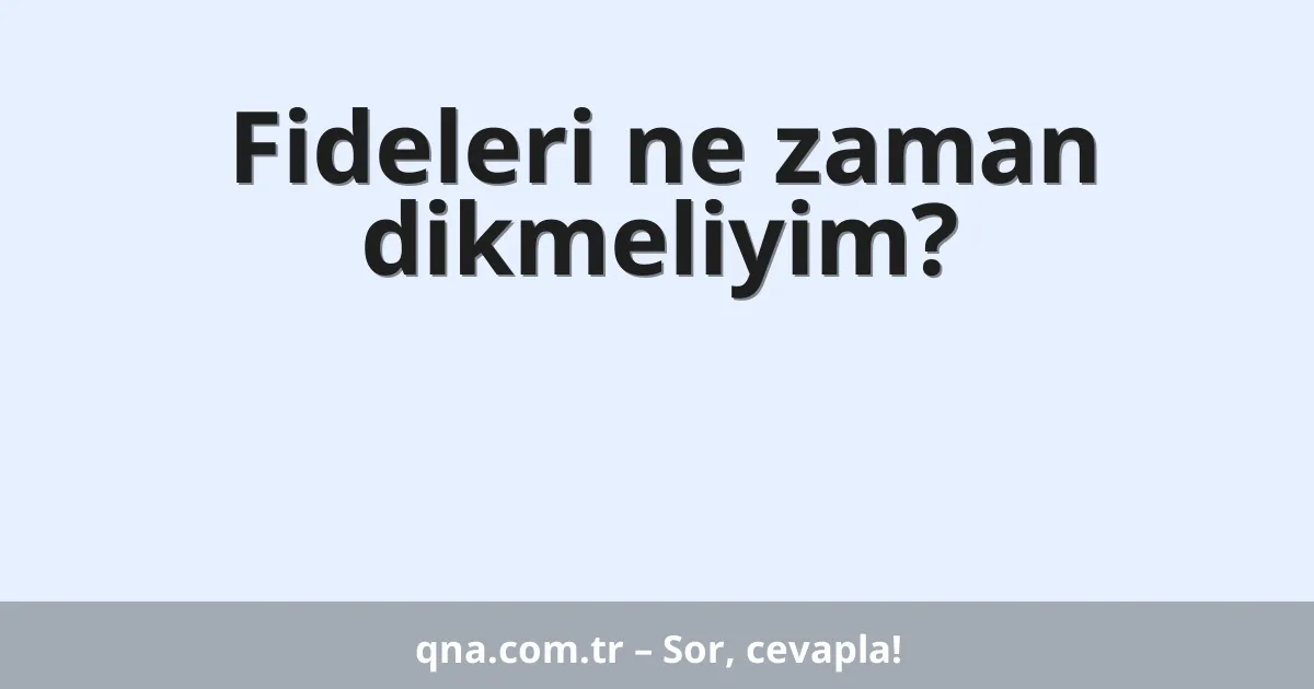 Fideleri ne zaman dikmeliyim?