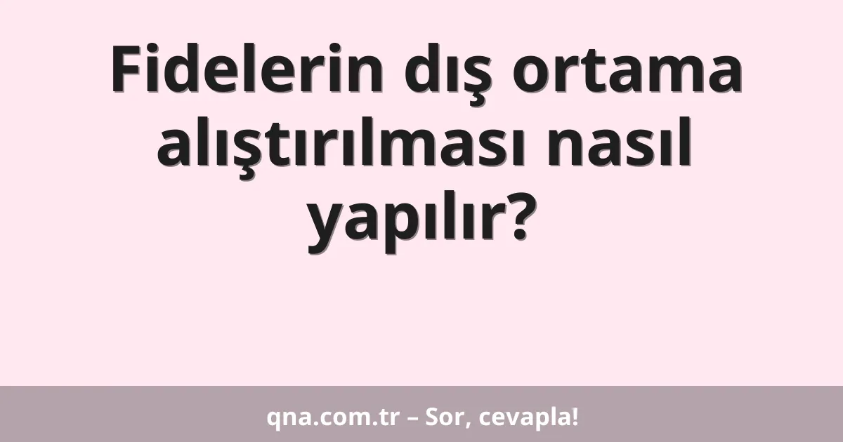 Fidelerin dış ortama alıştırılması nasıl yapılır?