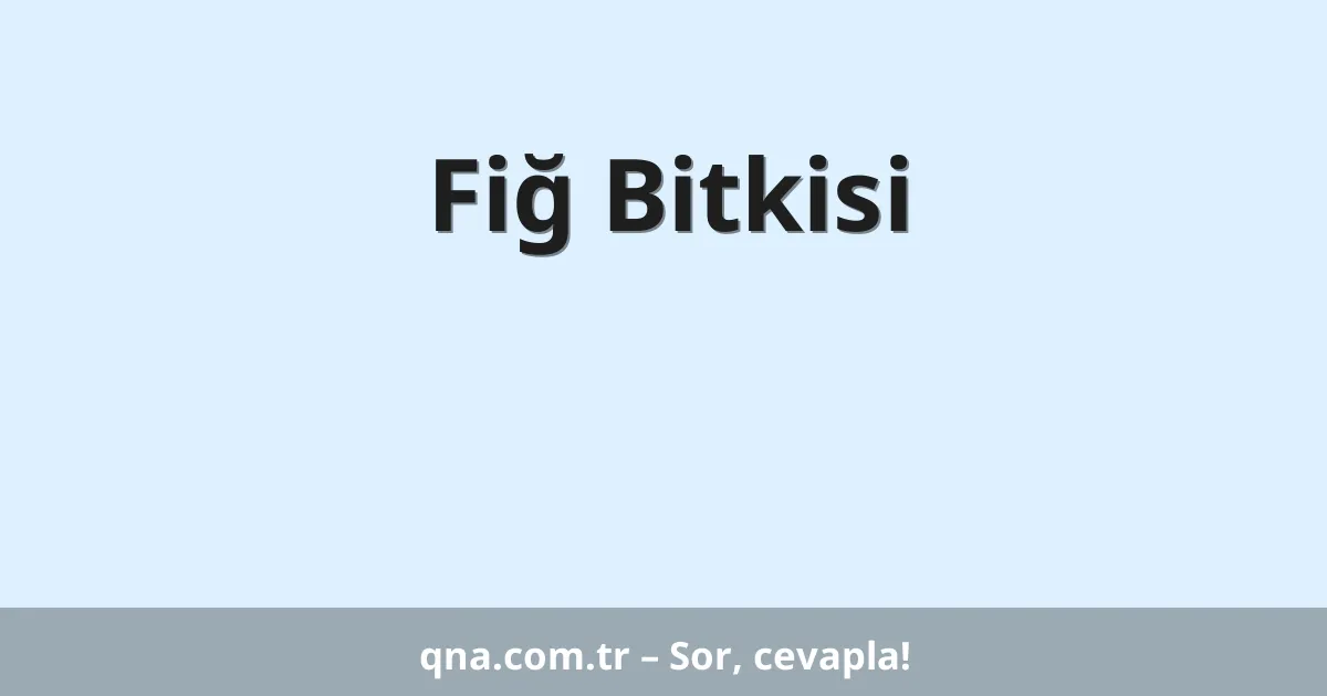 Fiğ Bitkisi