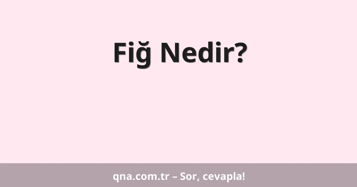 Fiğ Nedir?