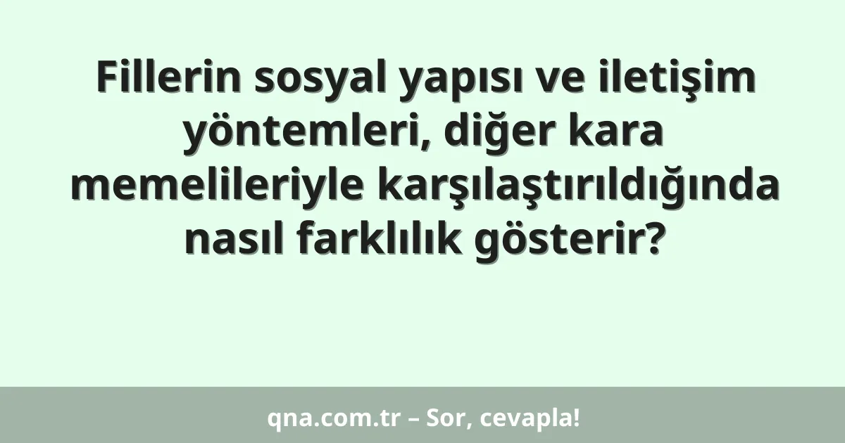 Fillerin sosyal yapısı ve iletişim yöntemleri, diğer kara memelileriyle karşılaştırıldığında nasıl farklılık gösterir?