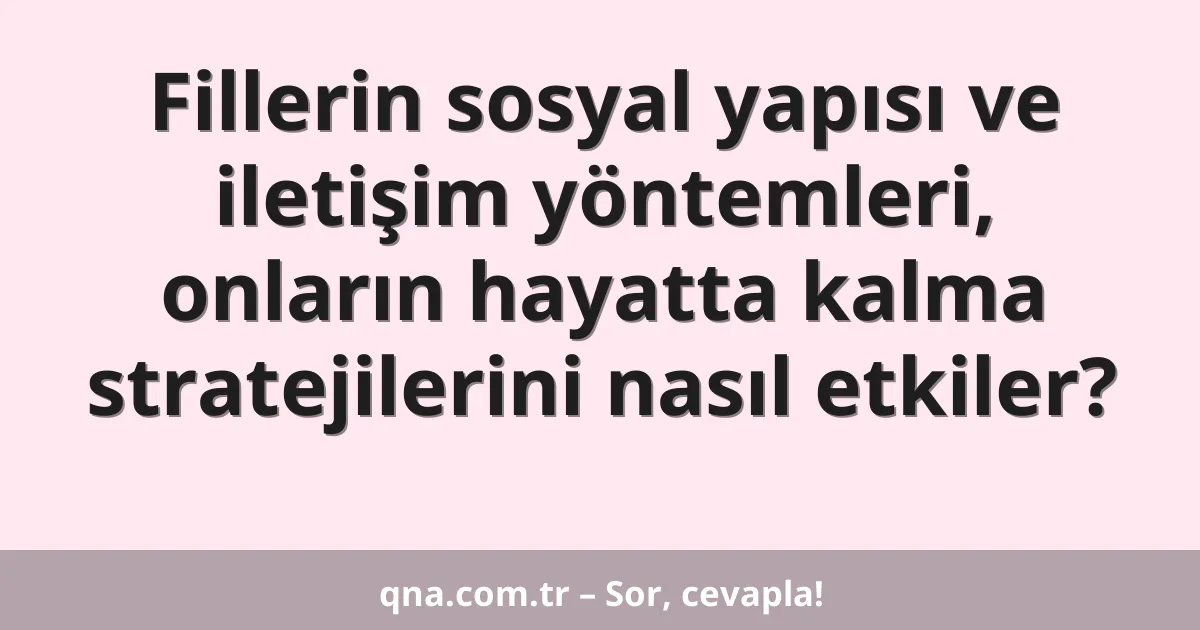 Fillerin sosyal yapısı ve iletişim yöntemleri, onların hayatta kalma stratejilerini nasıl etkiler?