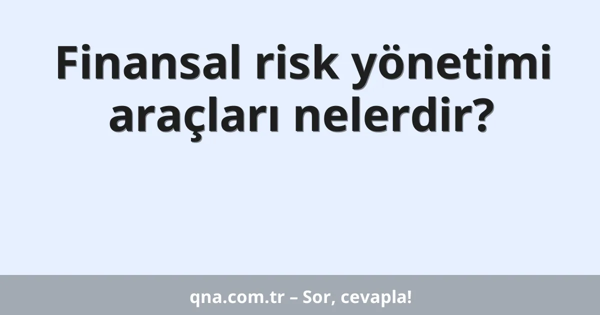 Finansal risk yönetimi araçları nelerdir?
