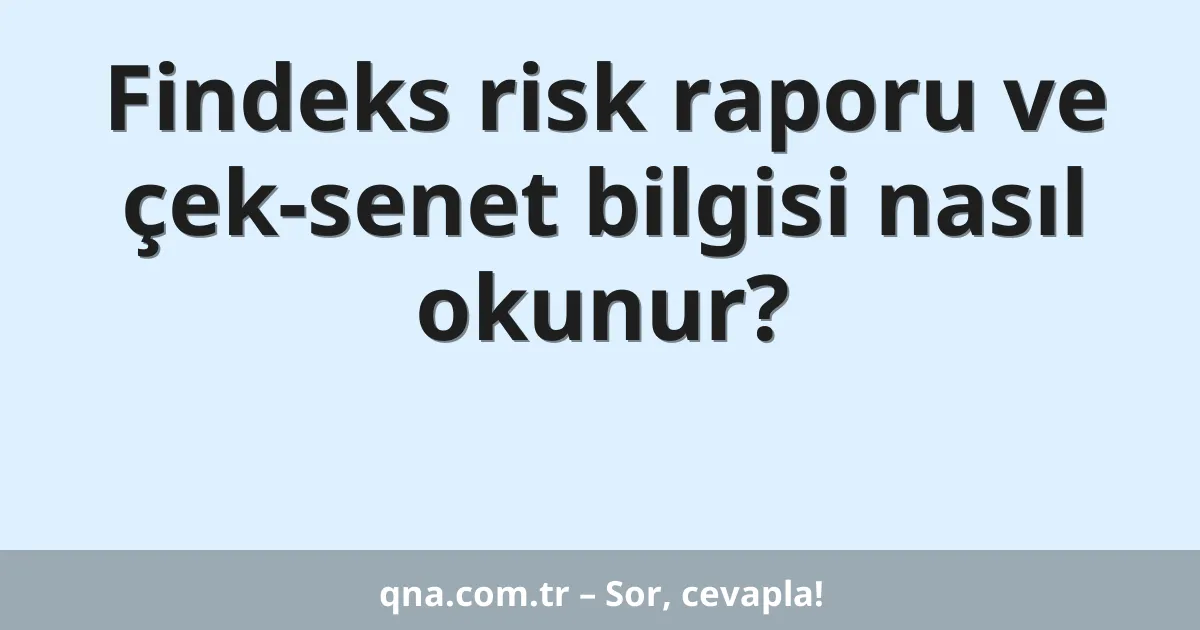 Findeks risk raporu ve çek-senet bilgisi nasıl okunur?