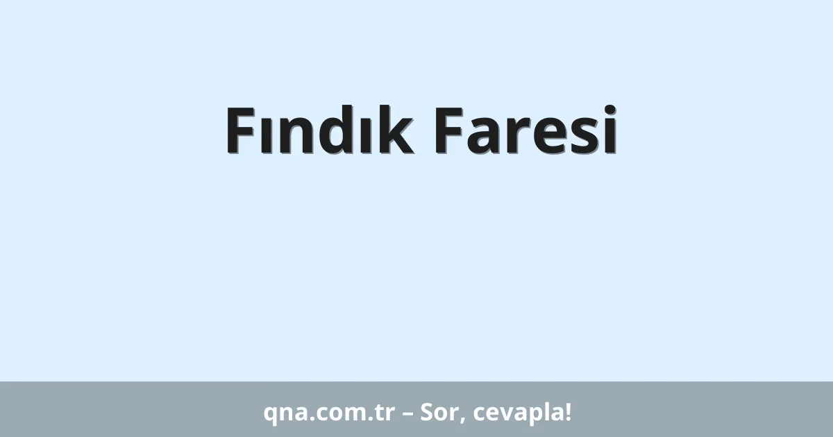 Fındık Faresi