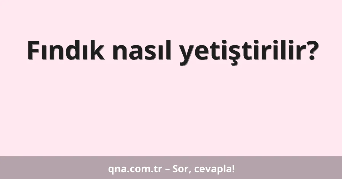 Fındık nasıl yetiştirilir?