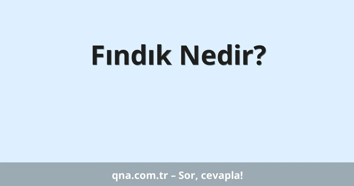 Fındık Nedir?