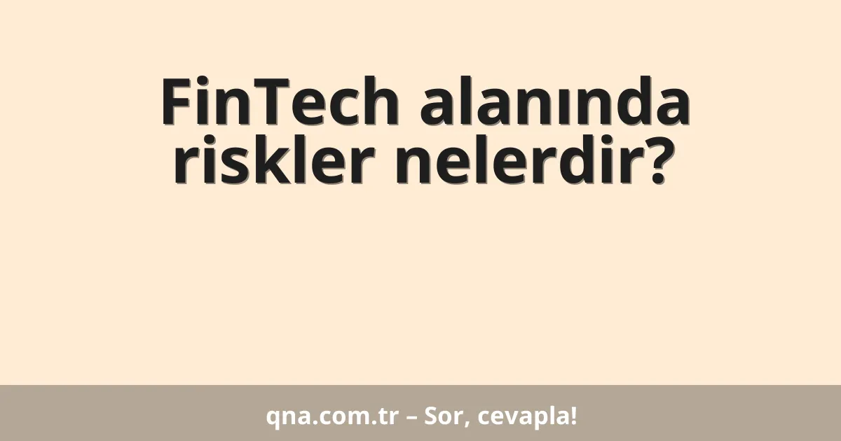 FinTech alanında riskler nelerdir?