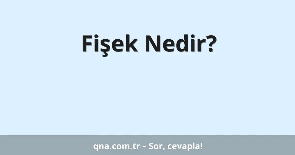 Fişek Nedir?