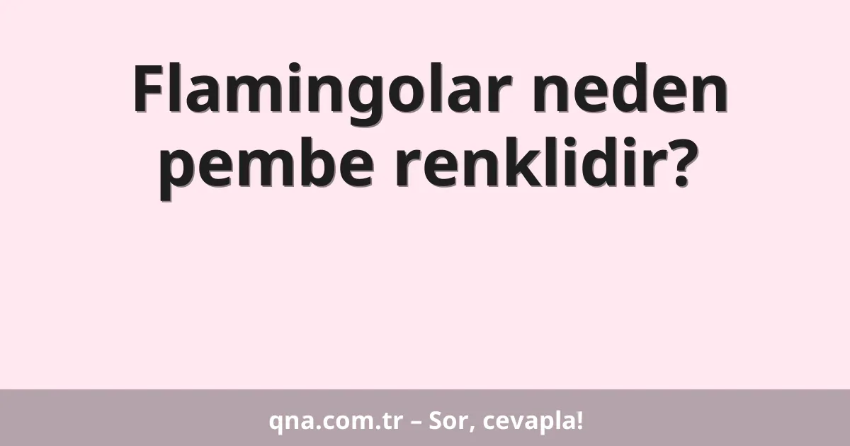 Flamingolar neden pembe renklidir?