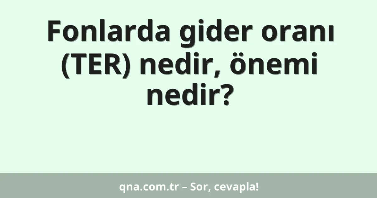 Fonlarda gider oranı (TER) nedir, önemi nedir?