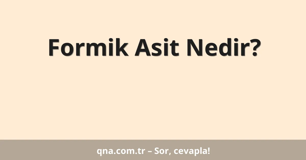 Formik Asit Nedir?