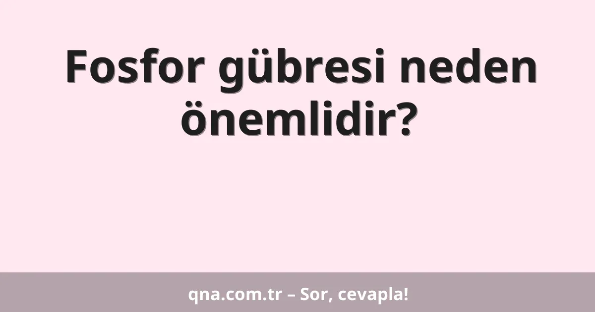 Fosfor gübresi neden önemlidir?