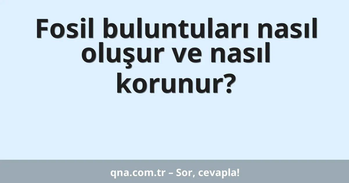Fosil buluntuları nasıl oluşur ve nasıl korunur?