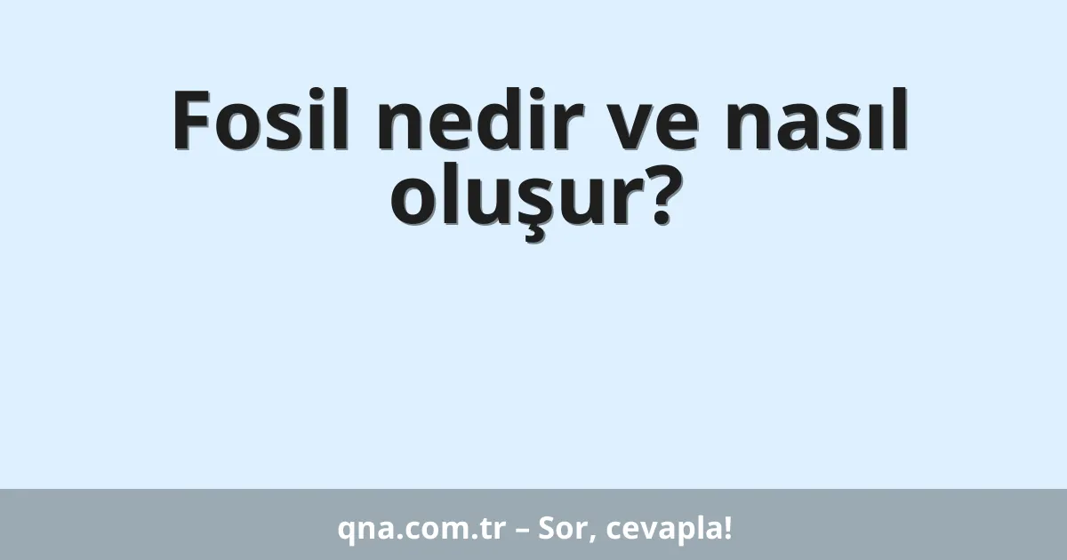 Fosil nedir ve nasıl oluşur?