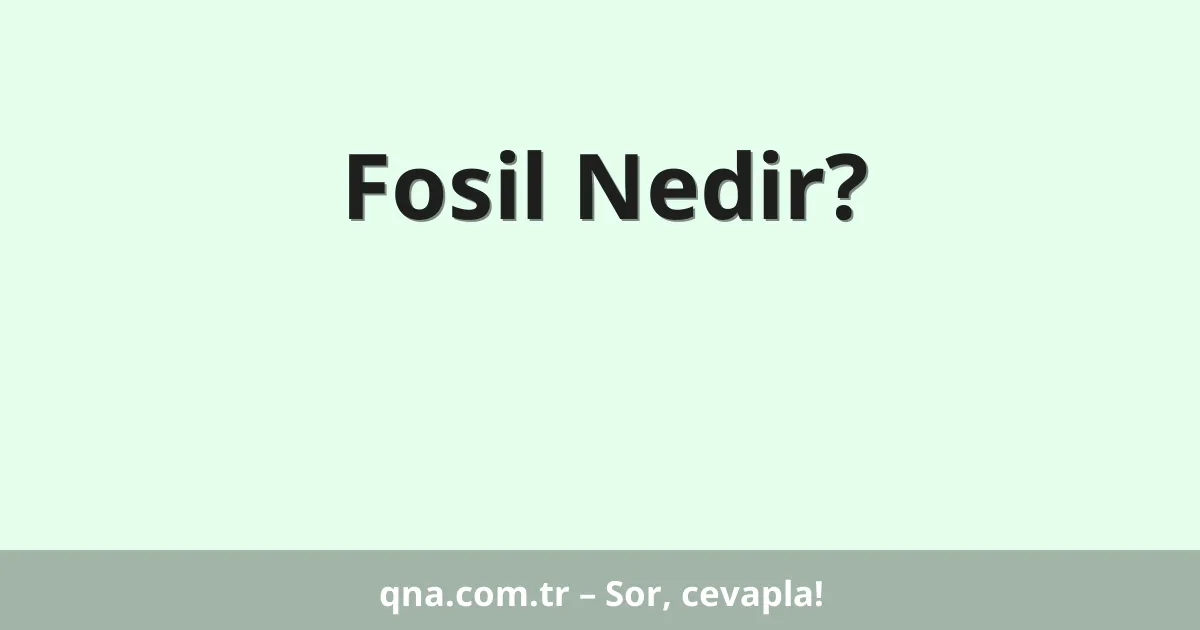 Fosil Nedir?