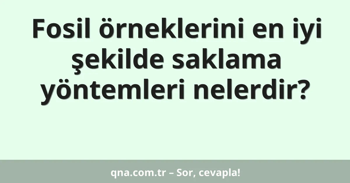 Fosil örneklerini en iyi şekilde saklama yöntemleri nelerdir?
