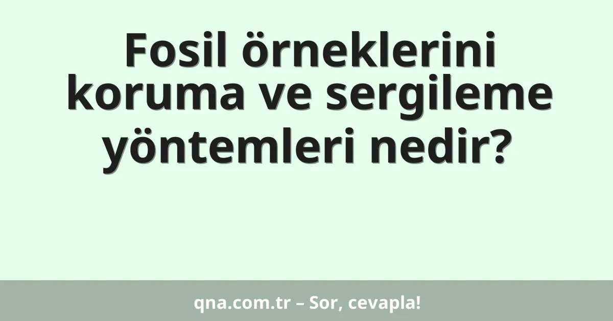 Fosil örneklerini koruma ve sergileme yöntemleri nedir?