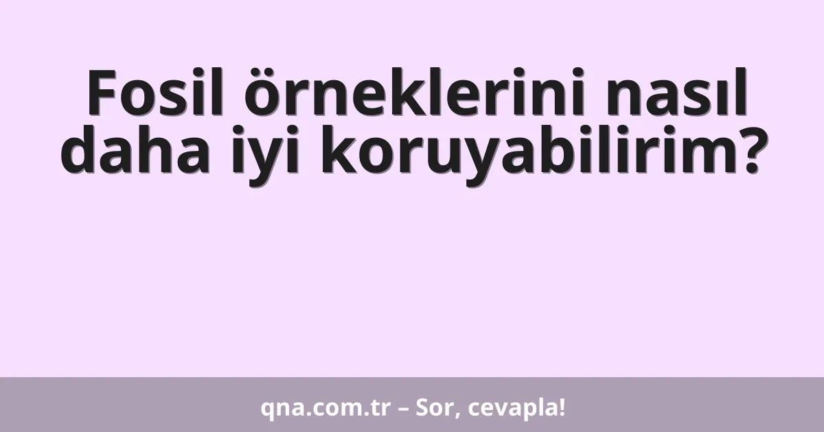 Fosil örneklerini nasıl daha iyi koruyabilirim?