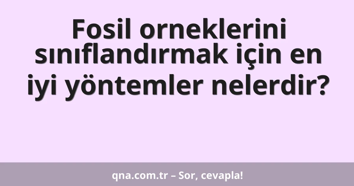 Fosil orneklerini sınıflandırmak için en iyi yöntemler nelerdir?