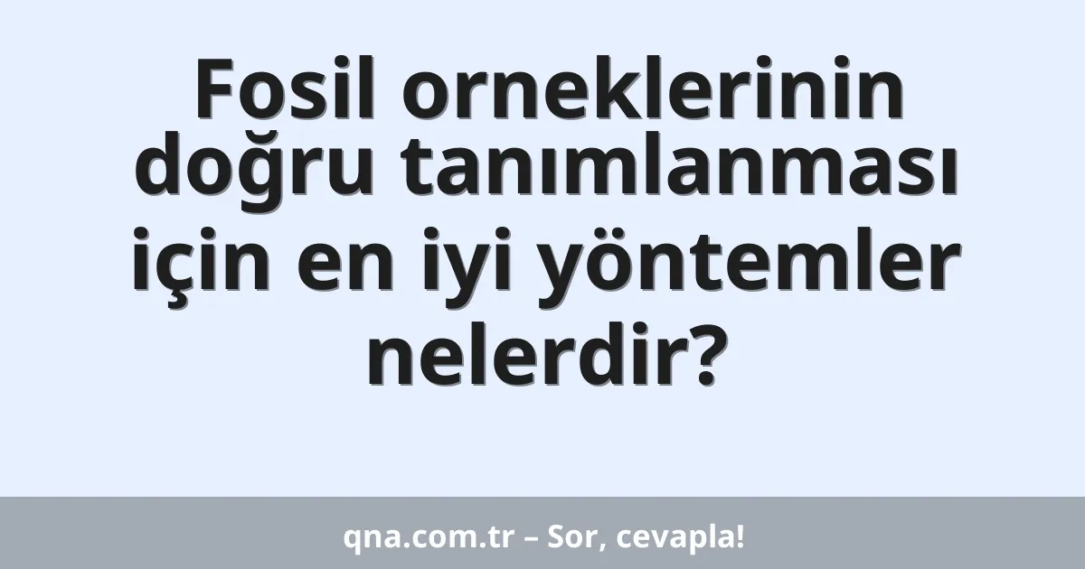 Fosil orneklerinin doğru tanımlanması için en iyi yöntemler nelerdir?
