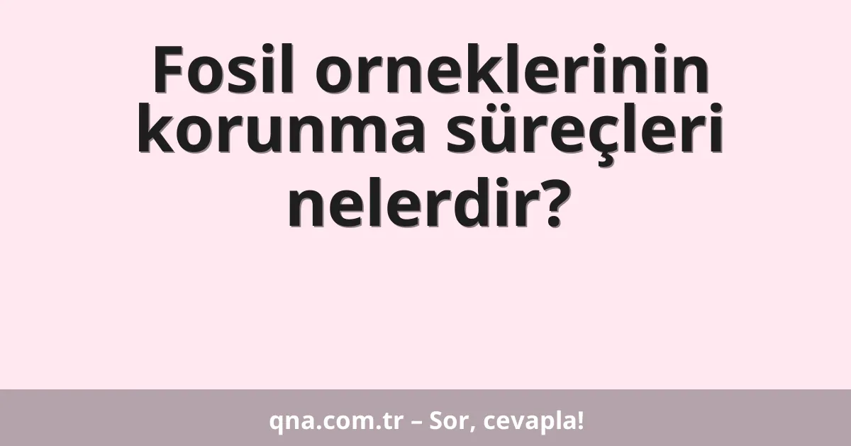 Fosil orneklerinin korunma süreçleri nelerdir?