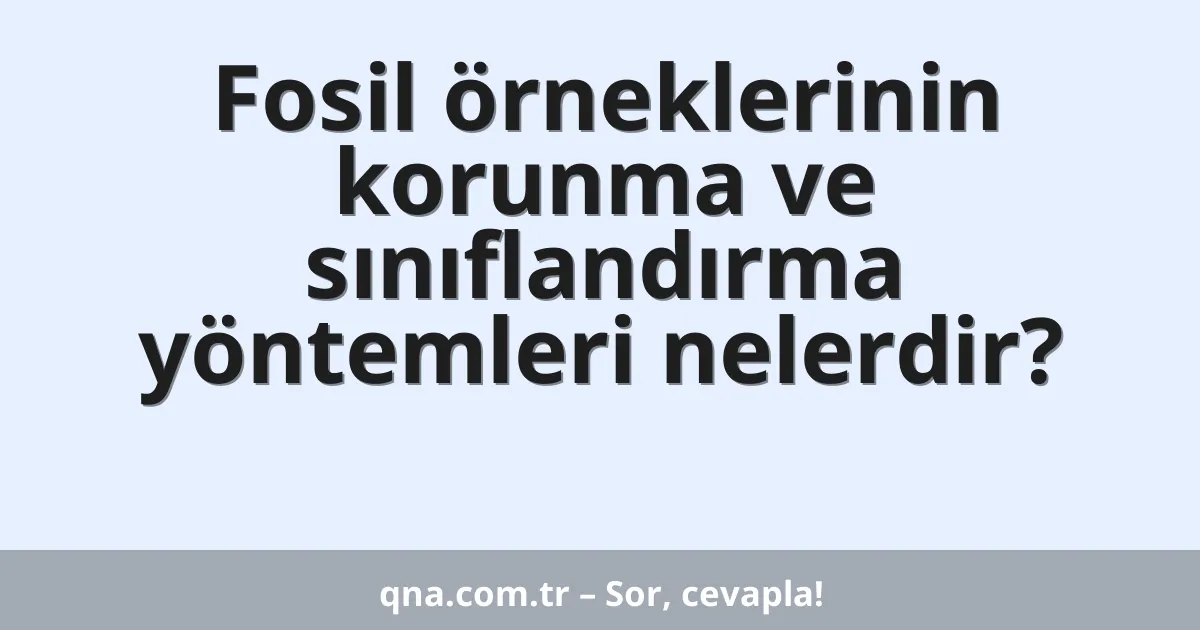 Fosil örneklerinin korunma ve sınıflandırma yöntemleri nelerdir?