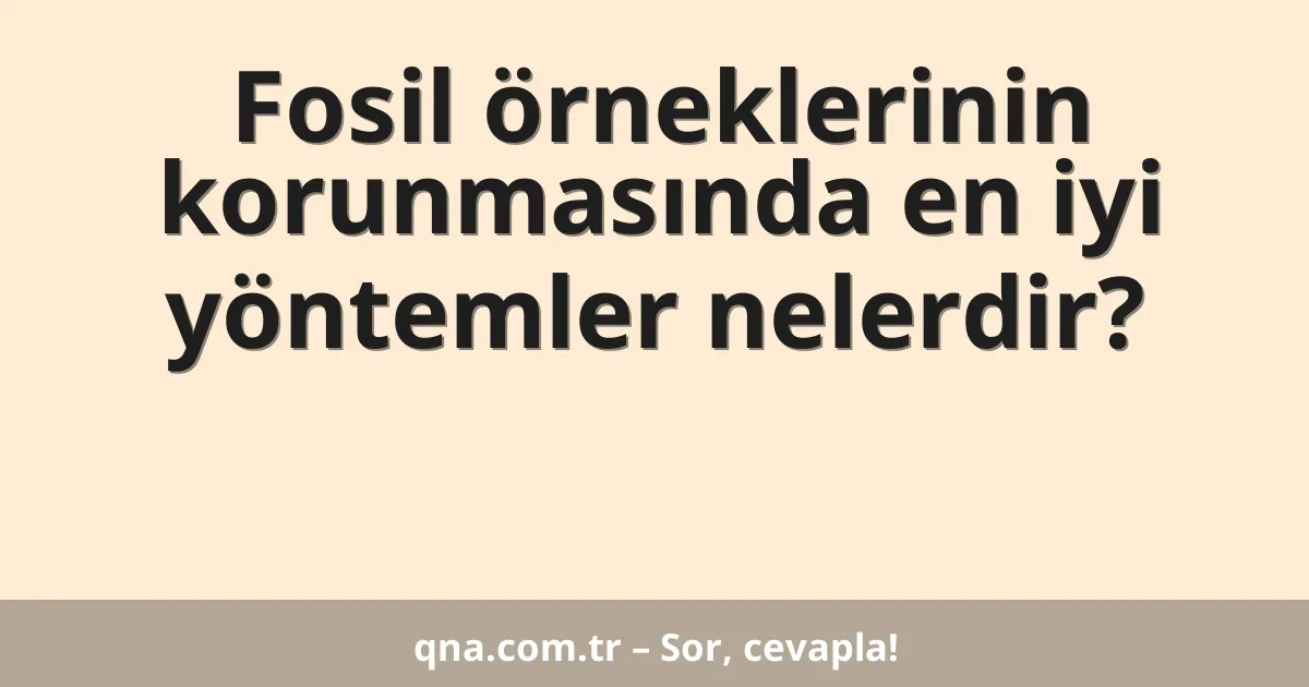 Fosil örneklerinin korunmasında en iyi yöntemler nelerdir?