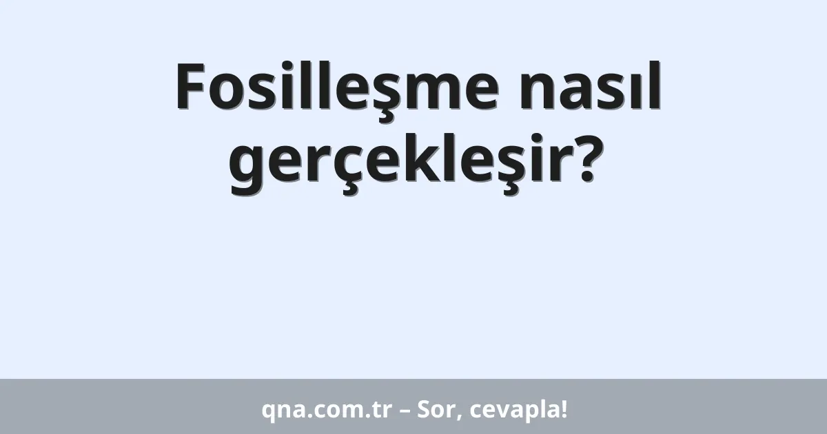 Fosilleşme nasıl gerçekleşir?