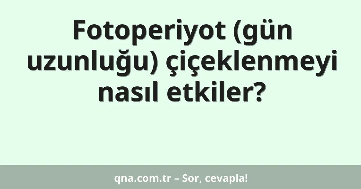 Fotoperiyot (gün uzunluğu) çiçeklenmeyi nasıl etkiler?