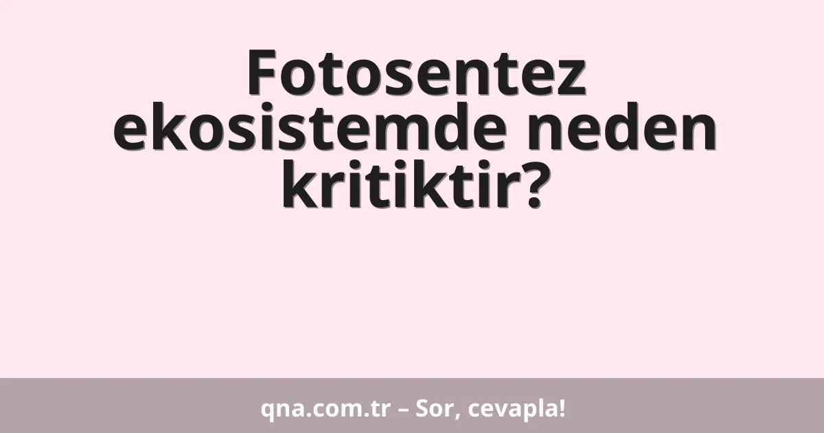 Fotosentez ekosistemde neden kritiktir?