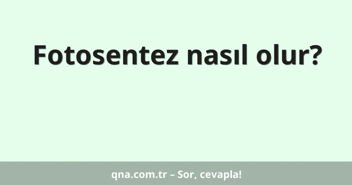 Fotosentez nasıl olur?