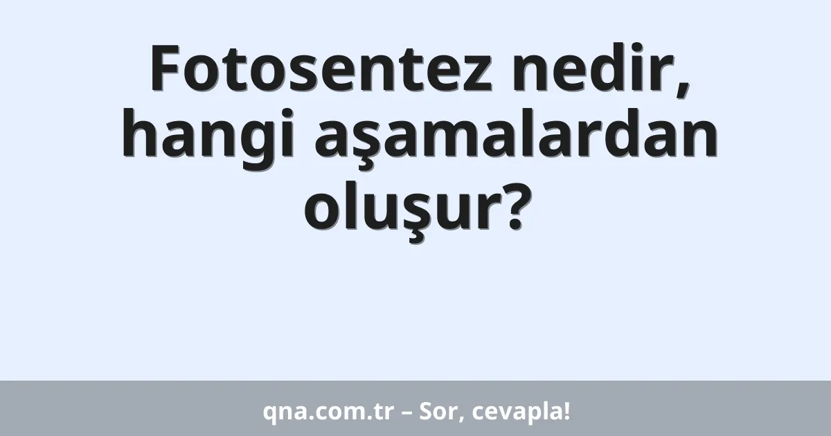 Fotosentez nedir, hangi aşamalardan oluşur?
