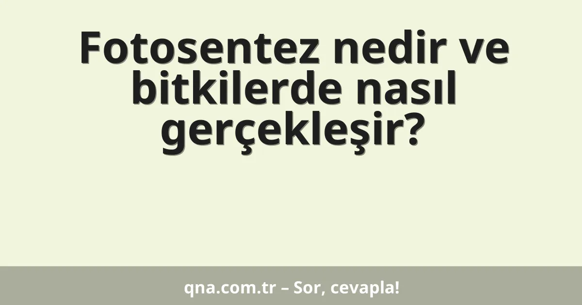 Fotosentez nedir ve bitkilerde nasıl gerçekleşir?