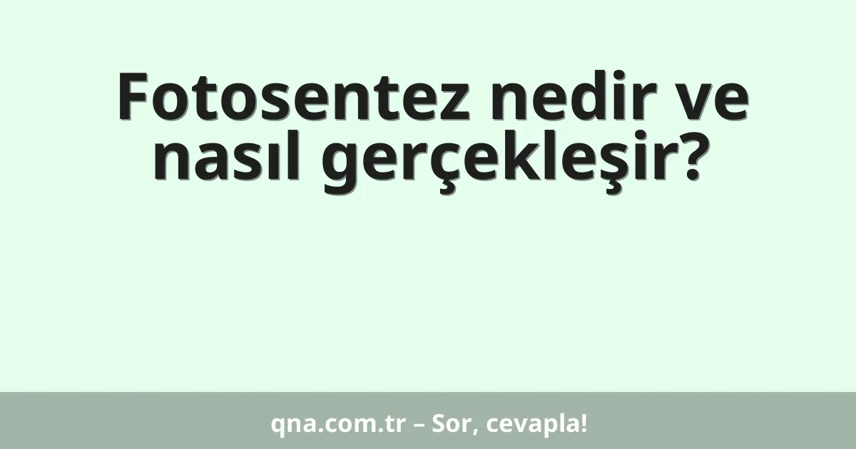 Fotosentez nedir ve nasıl gerçekleşir?
