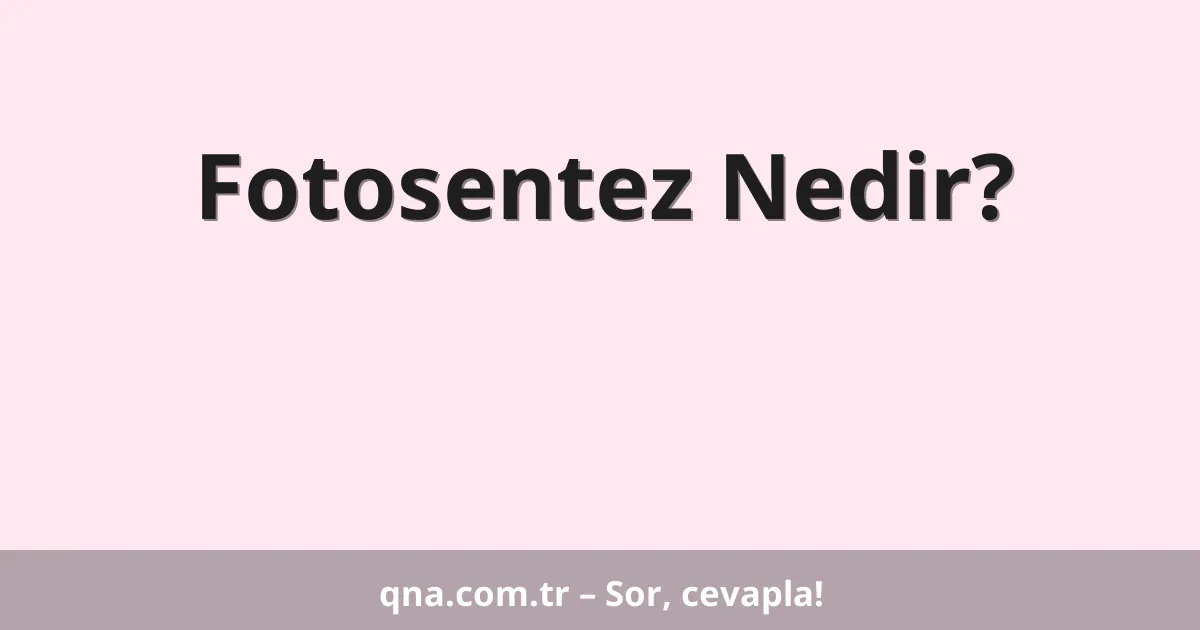 Fotosentez Nedir?