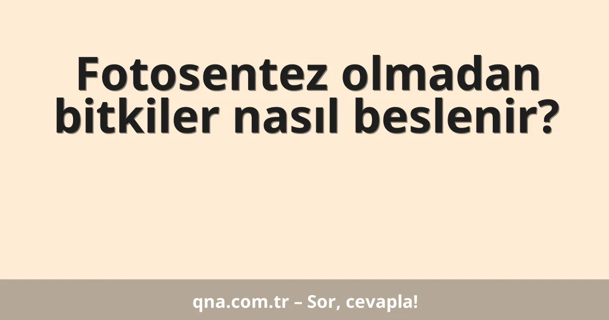 Fotosentez olmadan bitkiler nasıl beslenir?