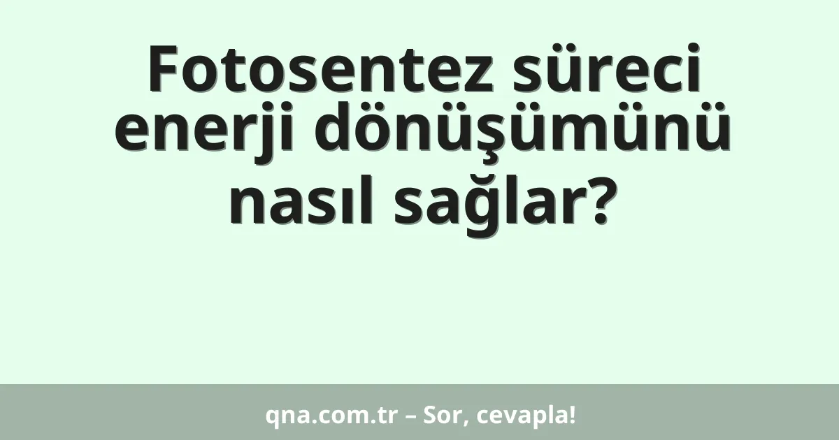 Fotosentez süreci enerji dönüşümünü nasıl sağlar?