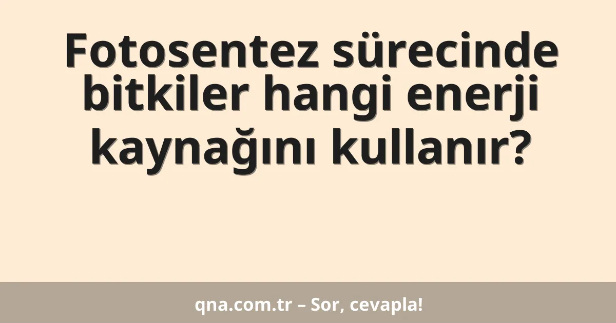 Fotosentez sürecinde bitkiler hangi enerji kaynağını kullanır?